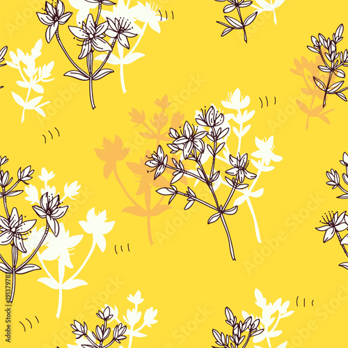 Seamless pattern of Hypericum or St. John’s wort