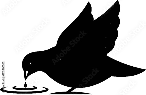 Silhouette of a bird drinking water from a pool