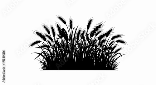 Silhouette of wheat stalks and grasses with a bird perched on a stalk