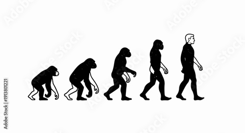 Silhouette progression from ape-like ancestor to modern human form