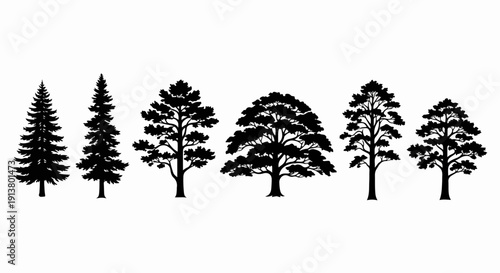 Silhouettes of diverse trees standing in a line on a white background