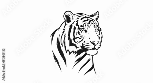 Striking black and white sketch of a tiger's head and shoulders