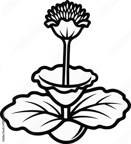 Stylized black and white illustration of a flowering plant with layered leaves