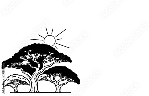 Stylized acacia trees under a bright sun in a simple black and white drawing