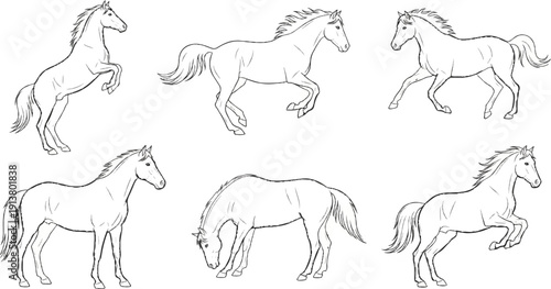 Six detailed line drawings of horses in various poses, set against a white background