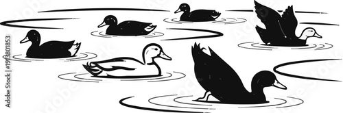 Six ducks swimming and one diving on a pond