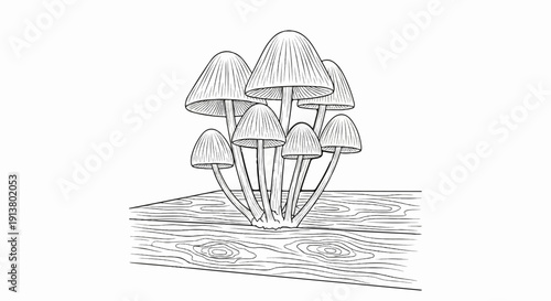 Sketch of a cluster of delicate mushrooms growing on a wood surface