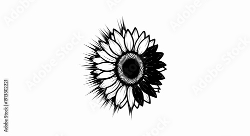 Stylized black and white sketch of a sunflower with striking contrast in petals
