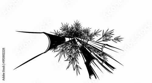 Stylized black and white sketch of bamboo stalks and leaves from a bird's-eye view