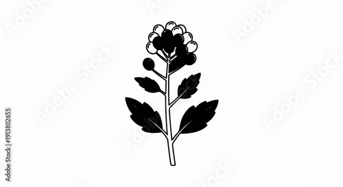 Stylized black and white depiction of a flowering plant stem with leaves
