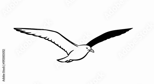 Stylized black and white drawing of a seagull in flight