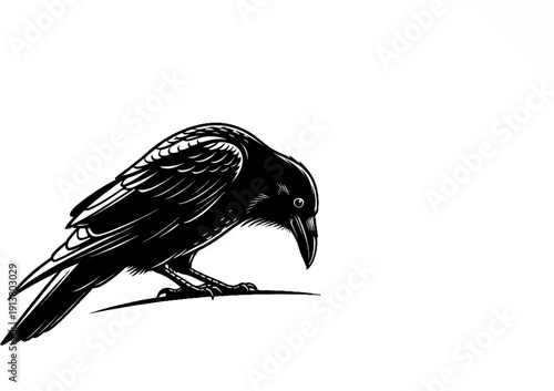 Stylized black raven perched, looking down intently with detailed feathers