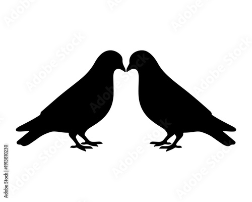 Two Doves Silhouette Facing Each Other Symbolizing Love and Peace