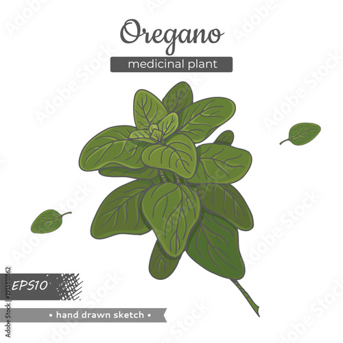 One element of Oregano plant