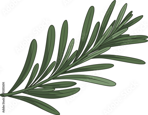 Green Leafy Plant Branch with Long Narrow Leaves