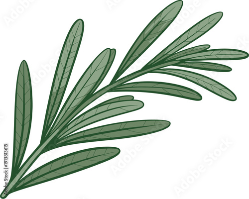 Green Leafy Plant with Long Thin Leaves nature