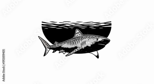 Stylized illustration of a fierce shark swimming below water surface