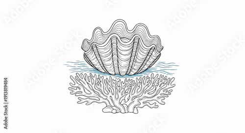 Stylized illustration of a large scallop shell resting on coral under blue waves
