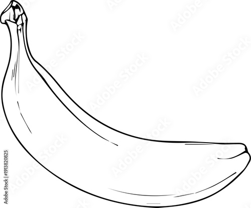 Outline of a Banana