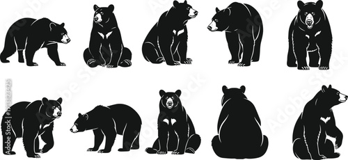 Set of black silhouettes featuring various poses of American black bears including sitting, standing, walking, and rear view, isolated on white background for design.
