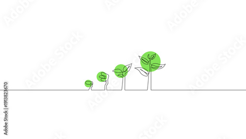 Continuous line tree growth stages from seedling to mature tree isolated on white background, minimal editable vector illustration.