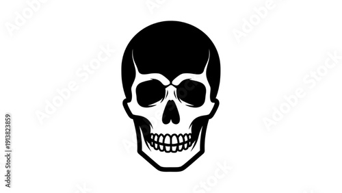 A black and white illustration of a human skull viewed from the front.