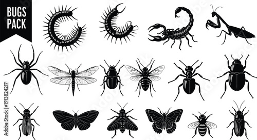Black silhouette set of common insects and bugs, spider, scorpion, butterfly, beetle and centipede, cad drawing flat vector illustration, isolated.