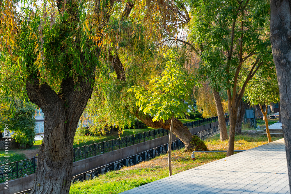 Obraz premium Urban Park with Trimmed Hedges and Shaped Trees