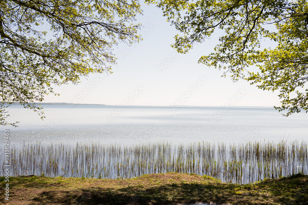 Obraz premium Serene lakeside view with green foliage and calm waters under clear sky