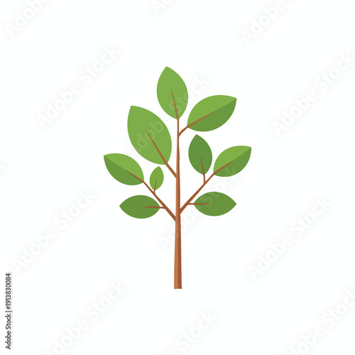 Young Green Tree with Bright Leaves in Natural Environment