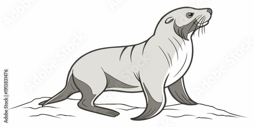 A detailed illustration of a sea lion standing on a rocky beach