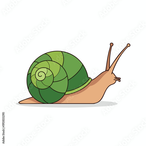 Cartoon Snail Illustration on White Background