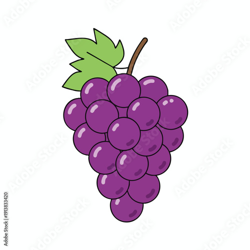 Bunch of Purple Grapes Illustration