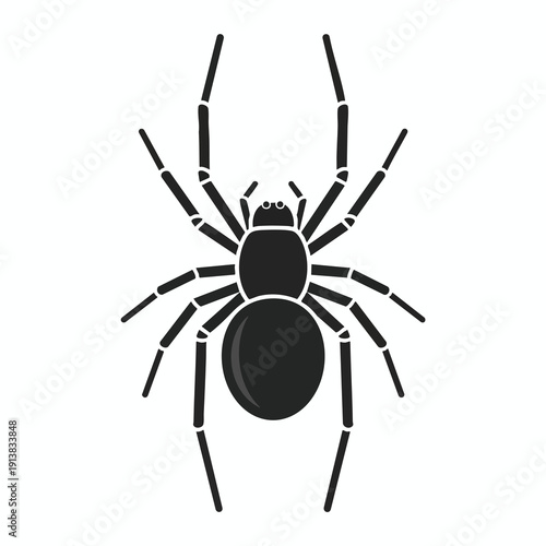 Black Spider Silhouette