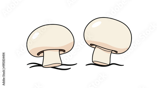 Two fresh white button mushrooms growing from the organic forest ground in a simple hand-drawn illustration style.