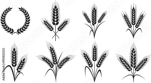 Wheat ear and grain icon set with cereal crop bundles and laurel wreath isolated black vector illustration