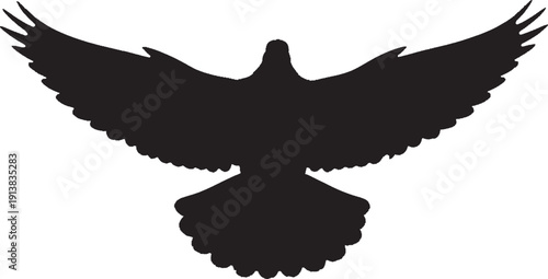 Silhouette of a bird in flight with outstretched wings