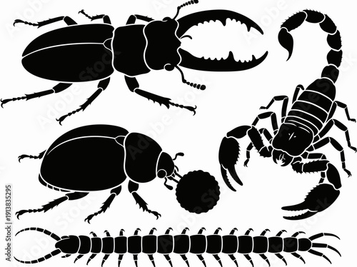 Collection of Various Wild Insect Silhouettes Featuring Beetles and Scorpions in Vector Format