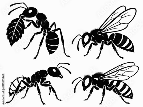 Collection of various wasp illustrations in different poses and actions, showcasing their anatomy and behavior in a graphic design format, viewed from a straightforward perspective.