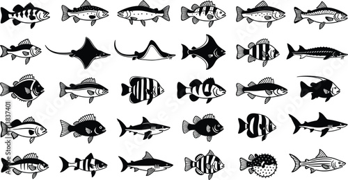 Large collection of black fish silhouettes featuring various species including shark stingray pufferfish tropical reef fish and trout isolated on white background for marine design.