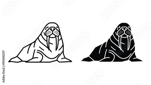 Walrus illustrations, black and white outline and silhouette