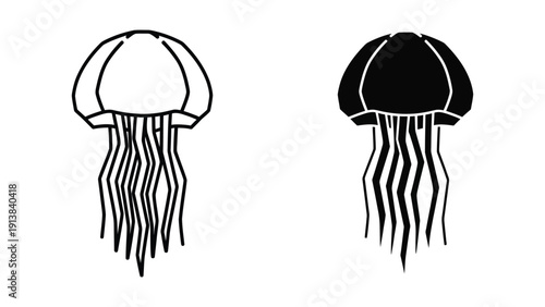Black and white illustration of two jellyfish on white background