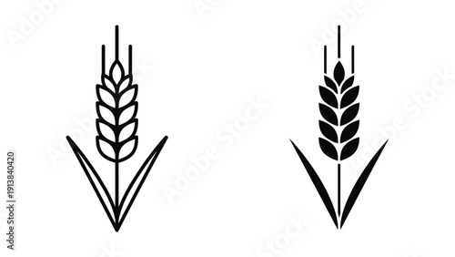 Black and white wheat ears illustration on white background