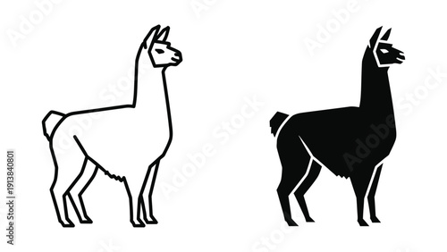 Black and white illustration of two llamas standing side by side