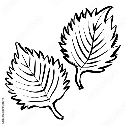 しその線画イラスト