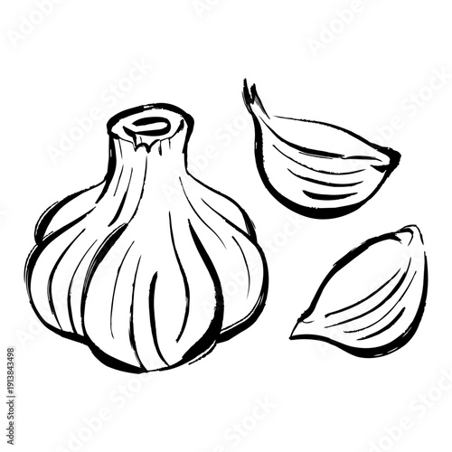 にんにくの線画イラスト