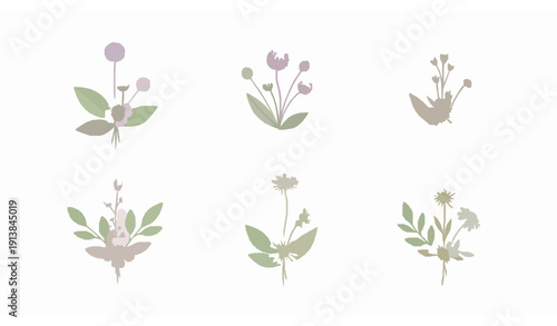 Minimal Watercolor Small Flower Arrangements Botanical Illustration Set Isolated on White Background