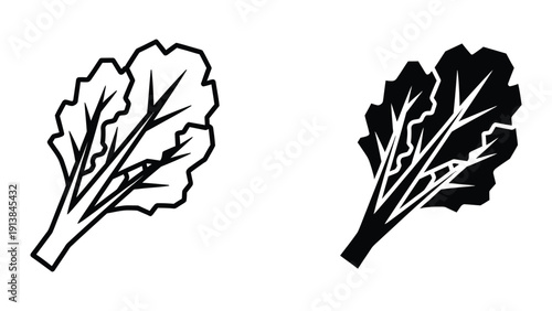Black and white illustration of leafy green vegetable, kale.
