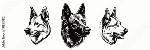 Hand drawn black and white detailed German Shepherd dog heads set, realistic sketch style pet portrait illustrations, isolated on white background vector art