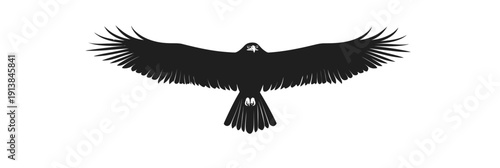 black silhouette eagle with outstretched wings flying isolated on white background vector flat minimalist style majestic bird of prey in flight spread wingspan